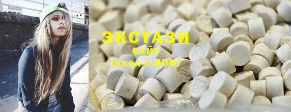 стаф Ельня