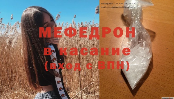 стаф Ельня