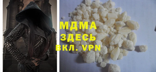 стаф Ельня
