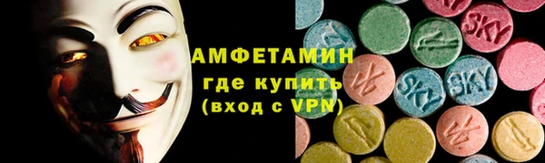 стаф Ельня