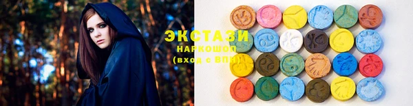 стаф Ельня