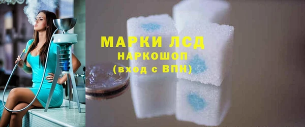 стаф Ельня