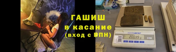 стаф Елизово