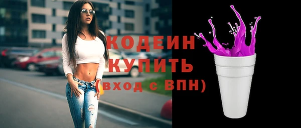 стаф Елизово