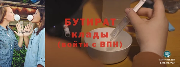 стаф Ельня