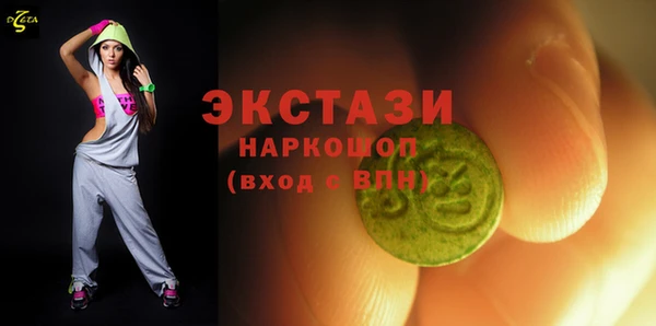 стаф Ельня