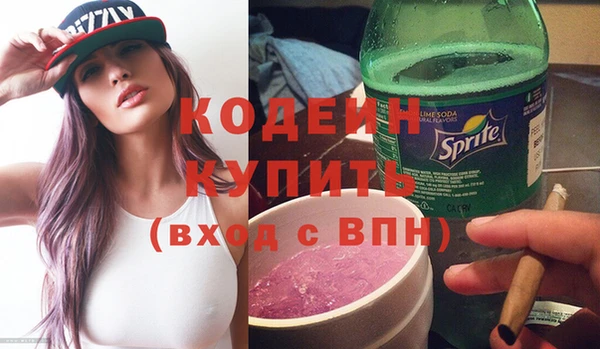 стаф Ельня