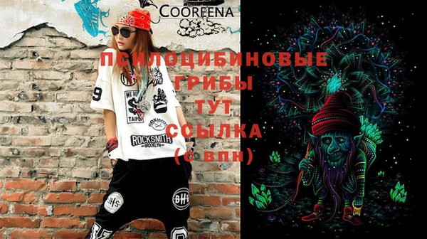 стаф Елизово