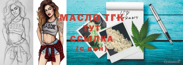 стаф Ельня