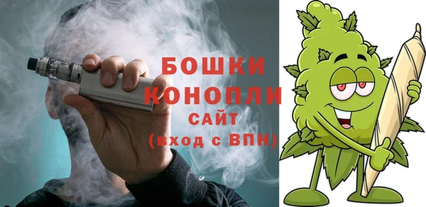 стаф Елизово