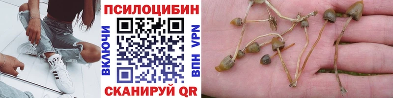 Галлюциногенные грибы GOLDEN TEACHER  KRAKEN ССЫЛКА  Карабаново  где купить наркотик 